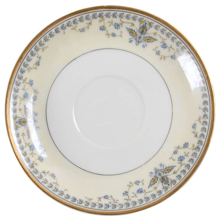 Schleiger 553 Saucer