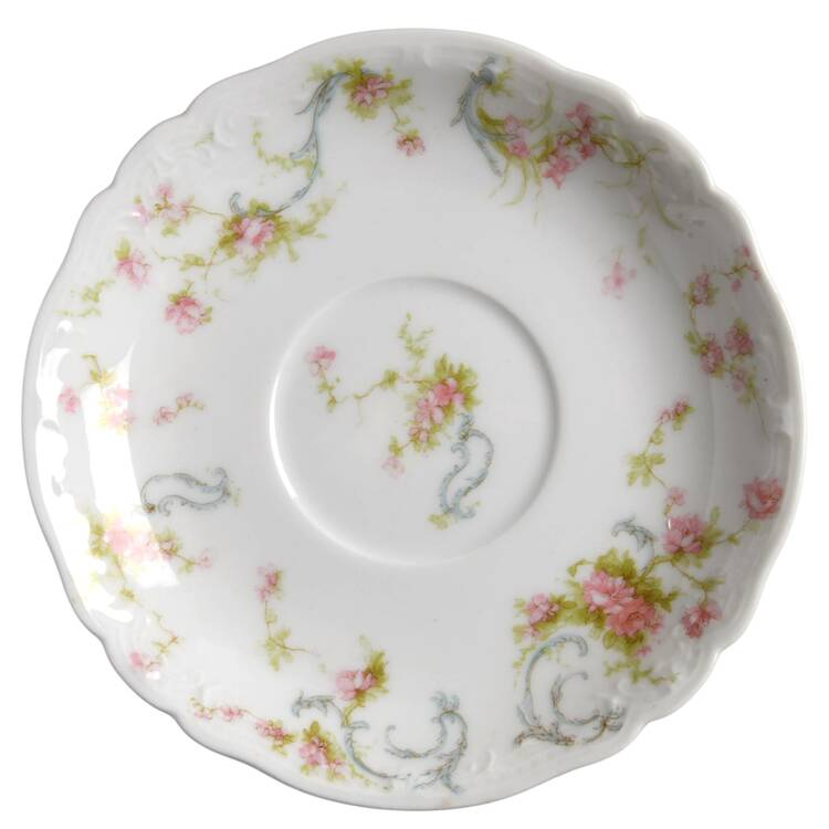 Schleiger 57 Saucer
