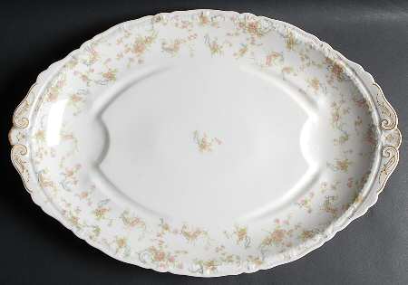 Schleiger 57 20" Oval Serving Platter by Haviland