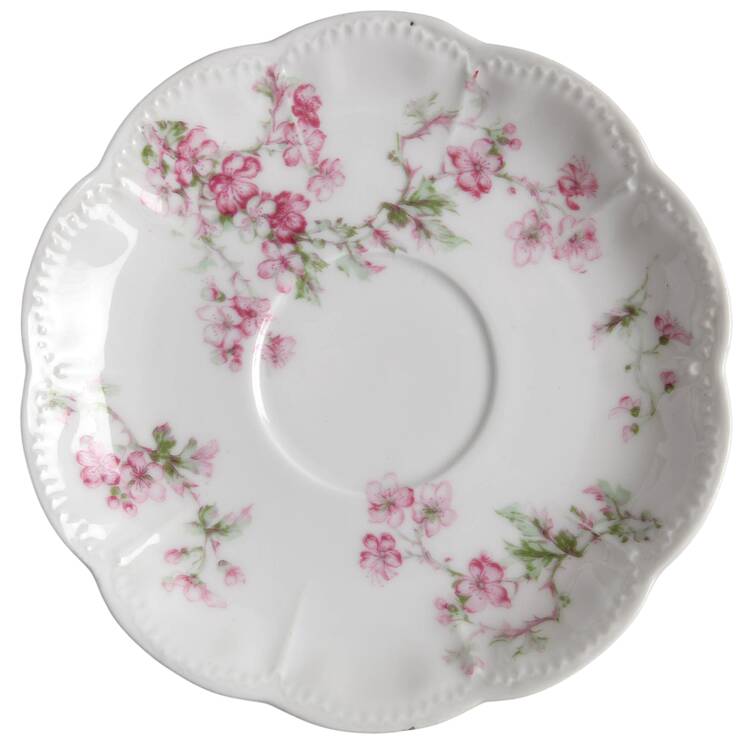 Schleiger 58A Saucer