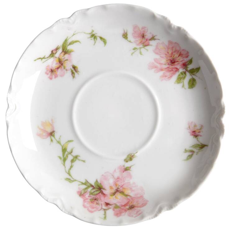 Schleiger 59 Saucer