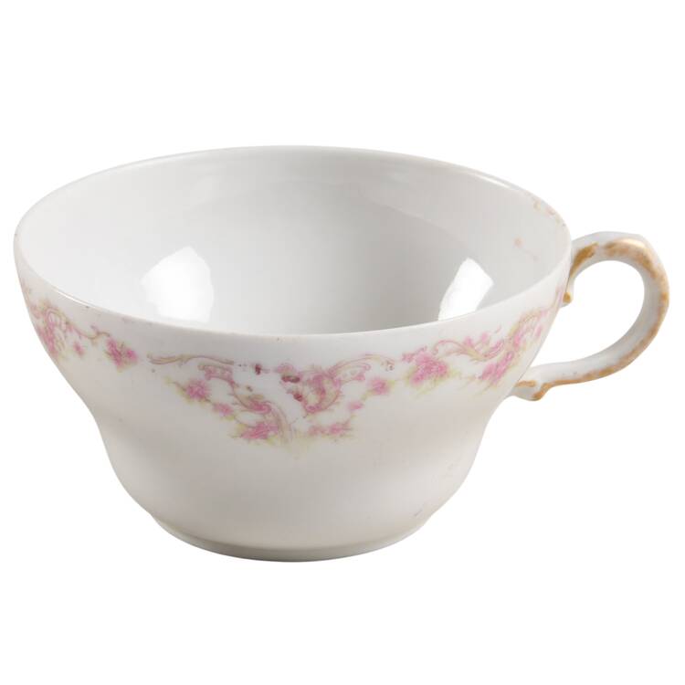 Schleiger 599i Flat Cup