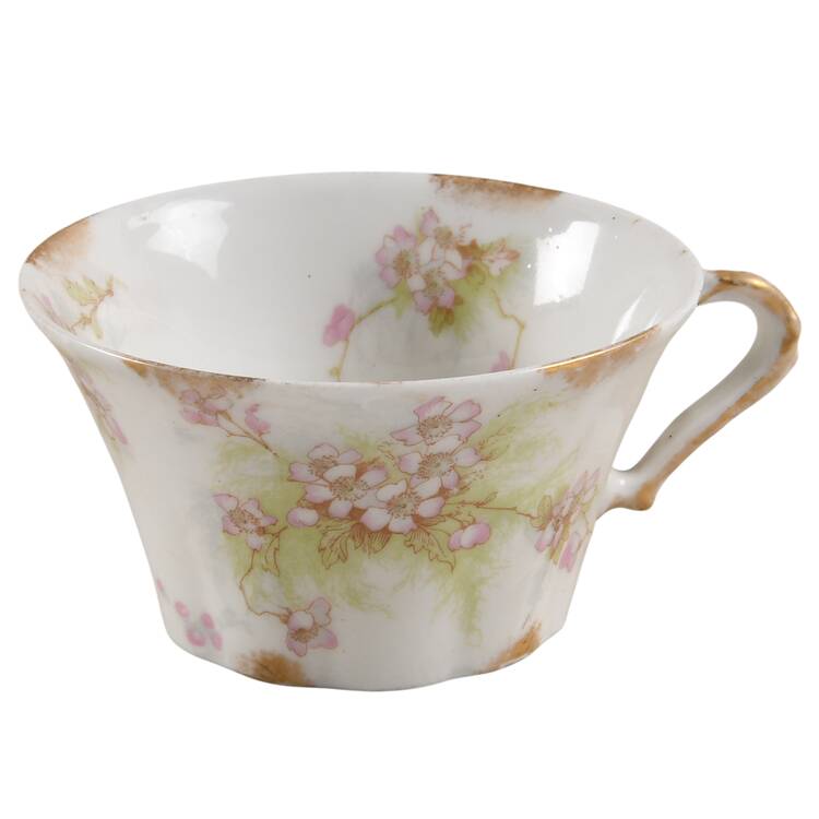 Schleiger 609e Flat Cup