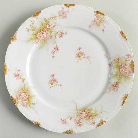 Schleiger 609e by Haviland