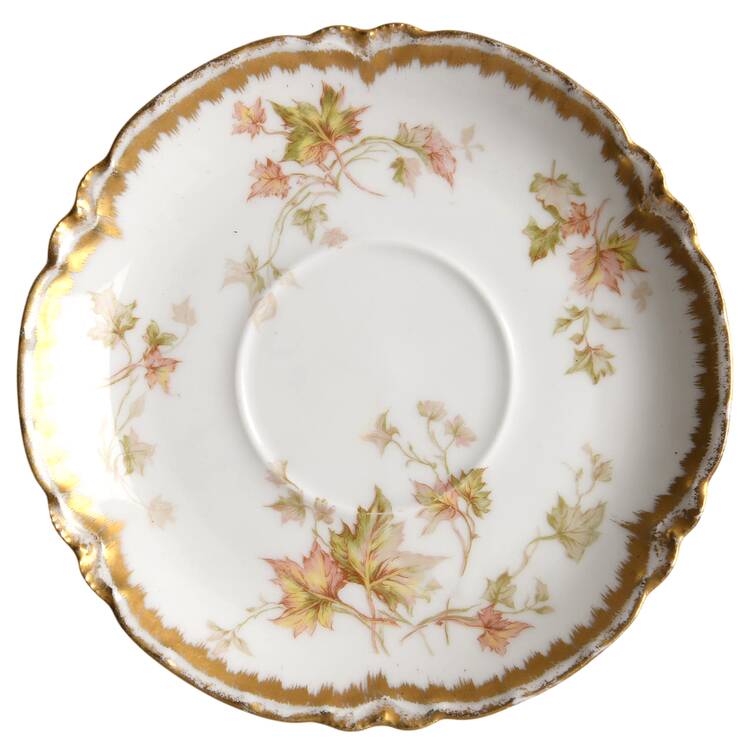 Schleiger 60D Saucer