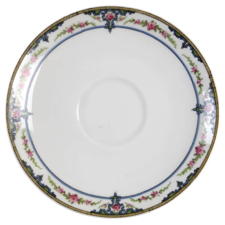 Schleiger 618a Saucer