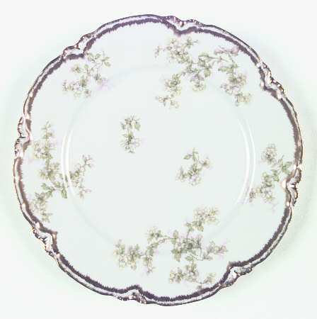 Schleiger 61G by Haviland