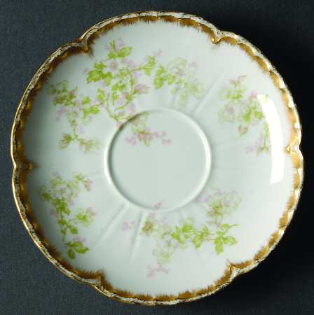Schleiger 61G Saucer