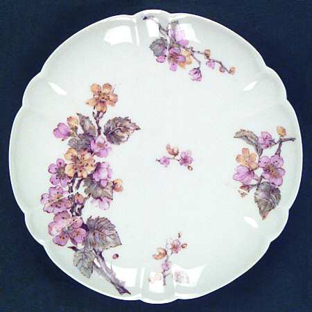 Schleiger 658a by Haviland