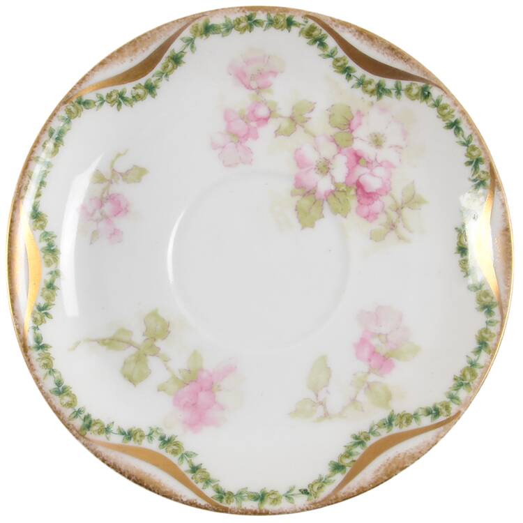 Schleiger 66 Saucer