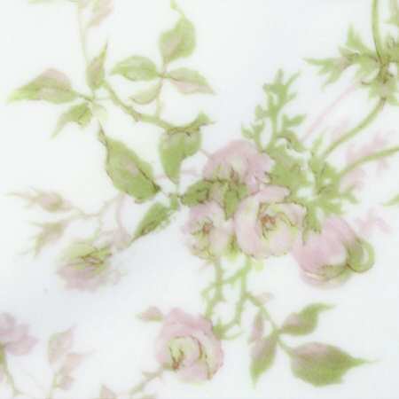 Schleiger 660F Dinner Plate by Haviland