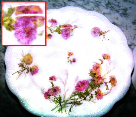 Schleiger 664b Dinner Plate