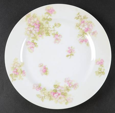 Schleiger 66b Luncheon Plate