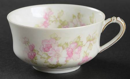 Schleiger 66b Flat Cup