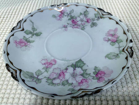 Schleiger 66d Saucer