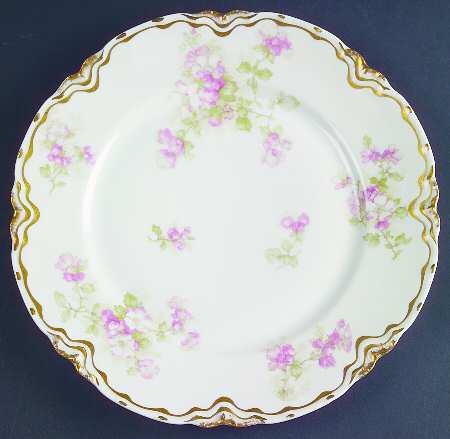 Schleiger 66d by Haviland