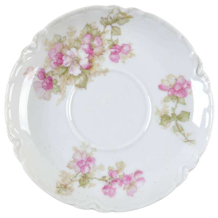 Schleiger 66E Saucer