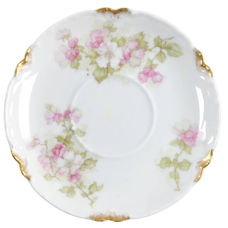 Schleiger 66f Saucer