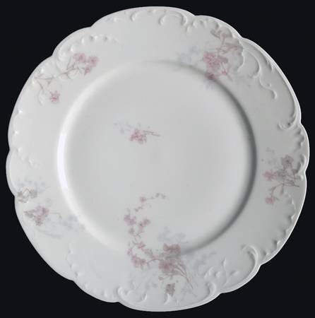 Schleiger 678A by Haviland