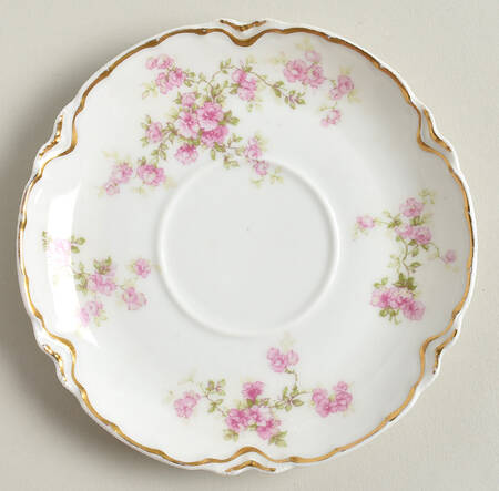 Schleiger 67E Saucer