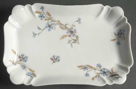 Schleiger 73 10" Rectangular Serving Platter by Haviland