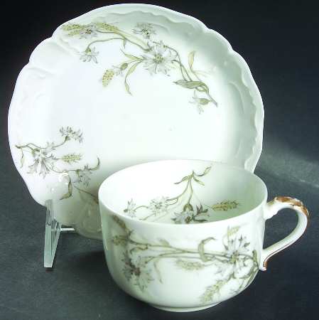 Schleiger 73C by Haviland