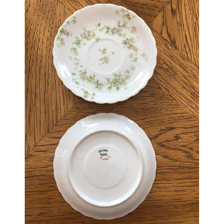 Schleiger 74 Saucer