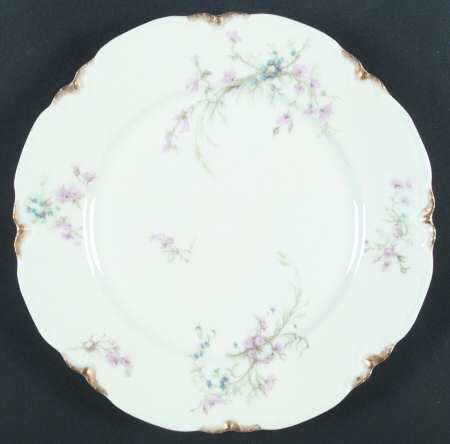 Schleiger 78b by Haviland