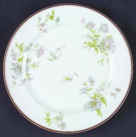 Schleiger 79h by Haviland