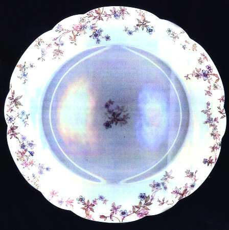 Schleiger 81 by Haviland