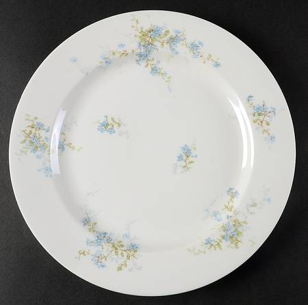 Schleiger 834c by Haviland