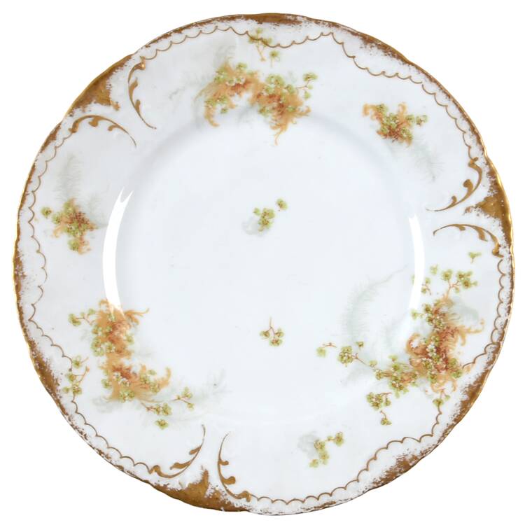 Schleiger 836f by Haviland