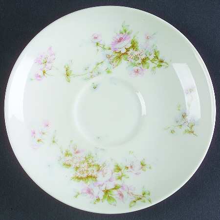 Schleiger 840 Saucer