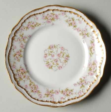 Schleiger 844 Bread & Butter Plate by Haviland