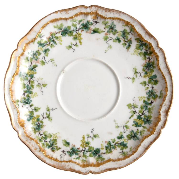 Schleiger 849 Saucer