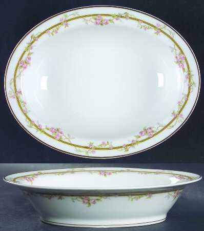Schleiger 861A by Haviland