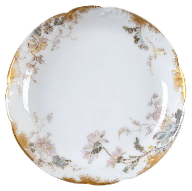 Schleiger 86A Saucer