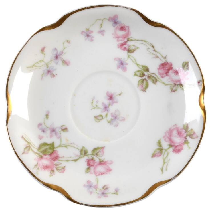 Schleiger 87b Saucer