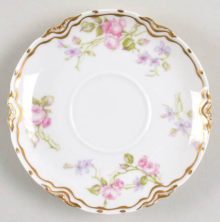 Schleiger 87D Saucer