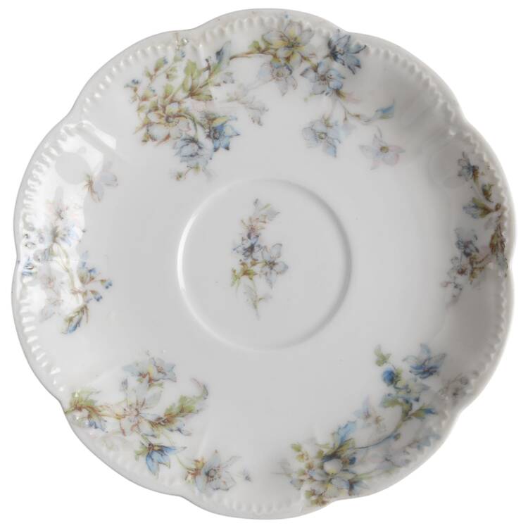 Schleiger 91h Saucer