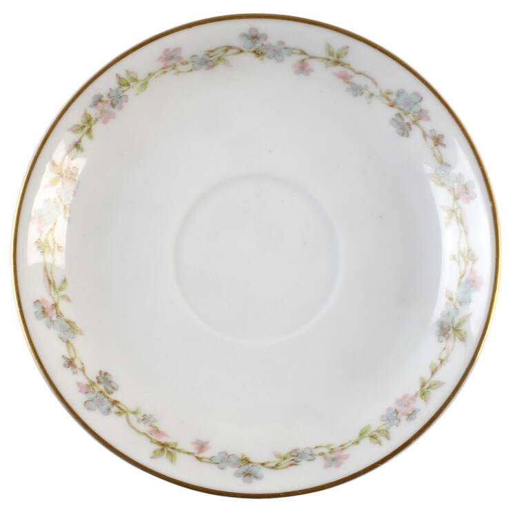 Schleiger 983 Saucer