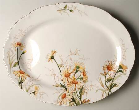 Shasta 16" Oval Serving Platter