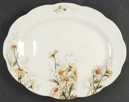 Shasta 11" Oval Serving Platter