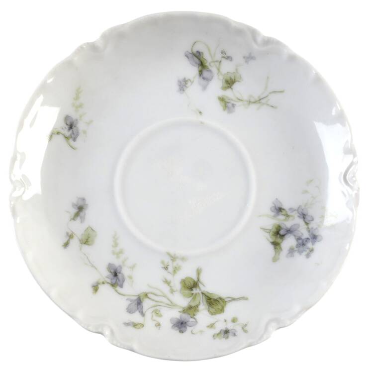 The Tarascon Saucer