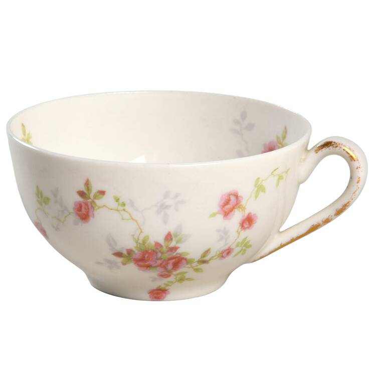Touraine Flat Cup by Haviland