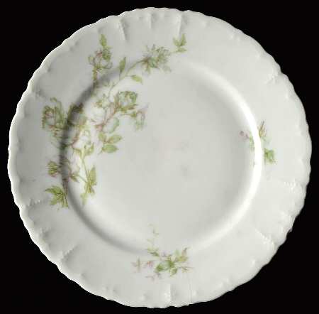 HAB20 Salad Plate