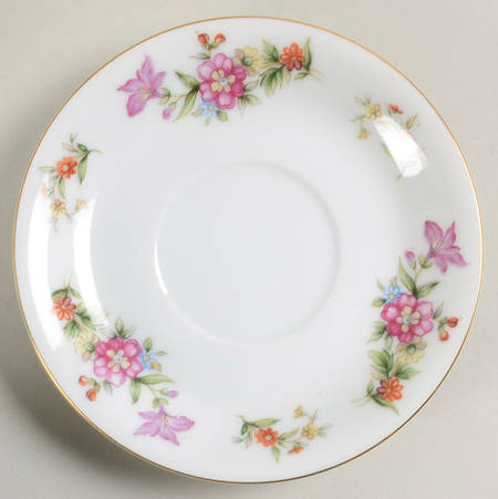 Dresdania Saucer