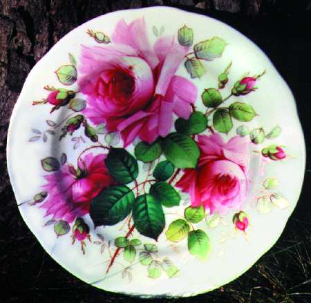 Severn Rose Dinner Plate