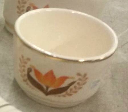 Modern Tulip Custard Cup