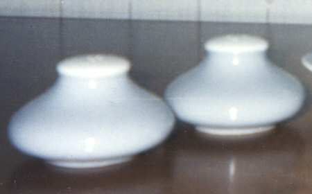 Springtime (Gray Rim) Salt & Pepper Set